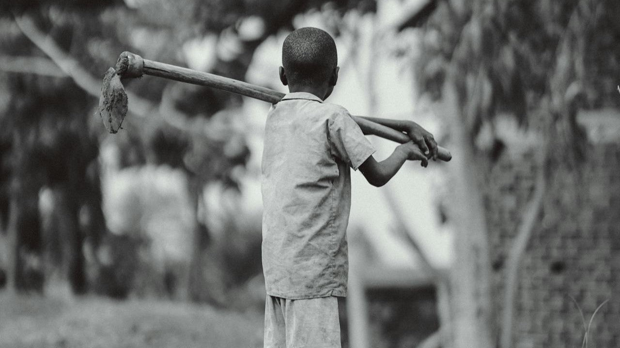 Farmer Crisis: Undercompensation and Exploitation Affecting Our Food System