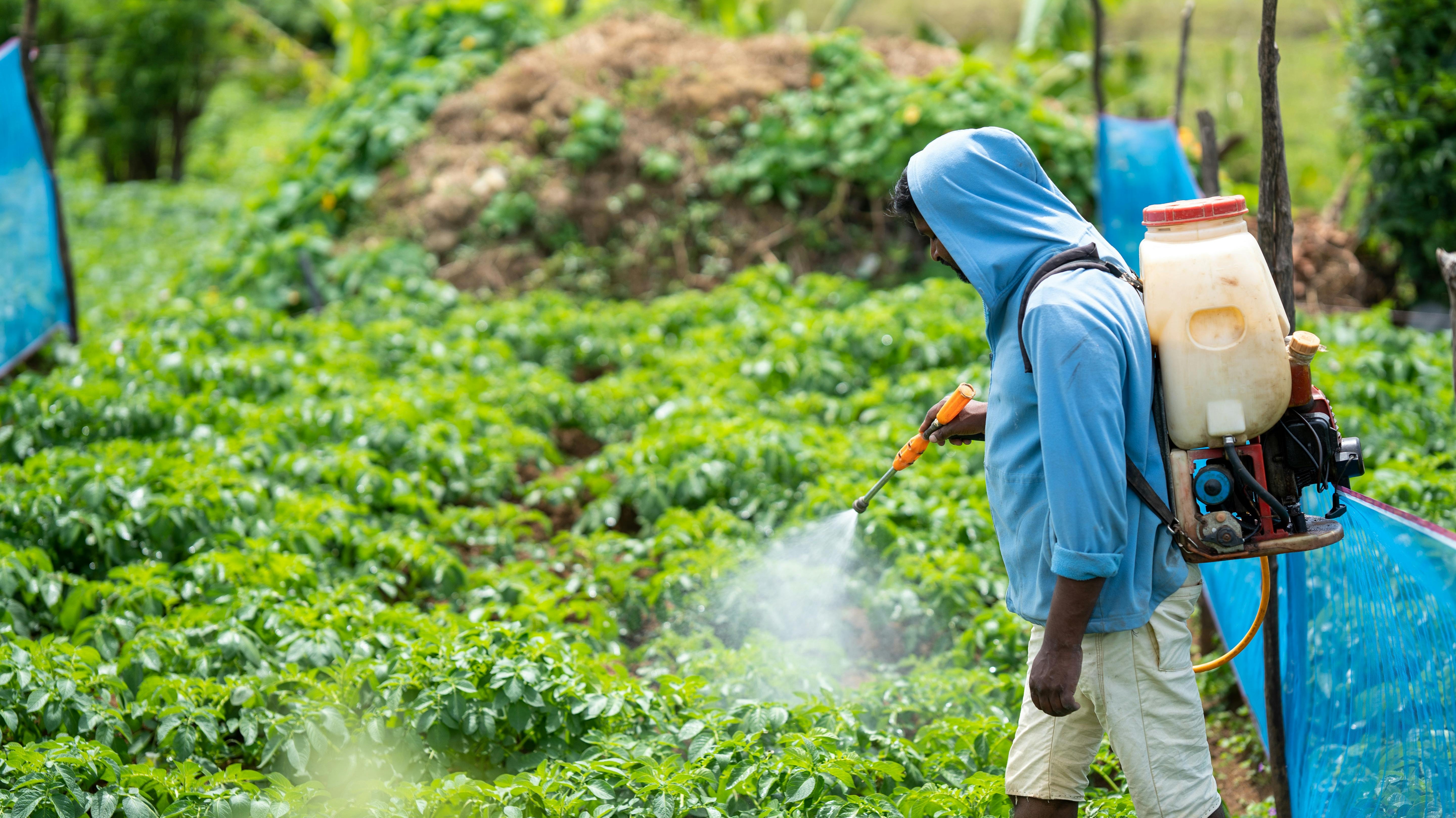 Long Term Cost of Cheap Farming